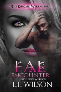 Fae Encounter by LE Wilson: Review