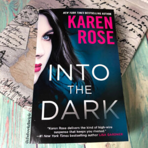 Into the Dark by Karen Rose